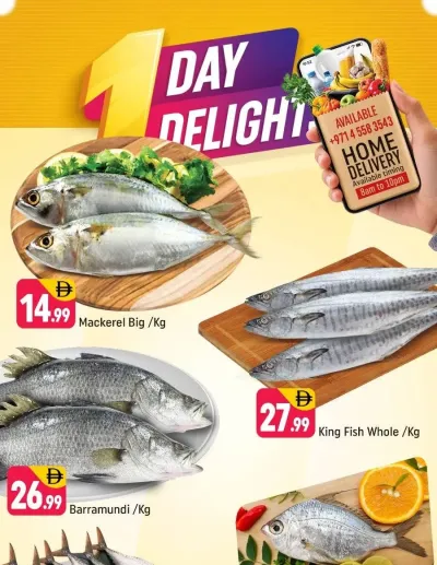 One Day Delights - E07, International City, China Cluster ad catalog