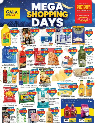Mega Shopping Days ad catalog