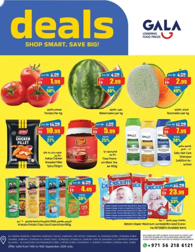 Shop Smart & Big Save ad catalog
