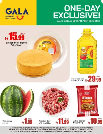One Day Exclusive ad catalog