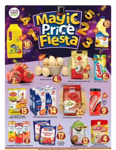 Magic Price Fiesta - Abu Dhabi ad catalog