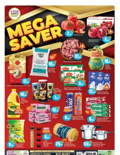 Mega Saver - Badazayed & Musaffah, Abu Dhabi ad catalog