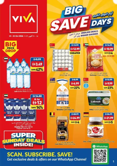  Latest Big Save Days ad catalog