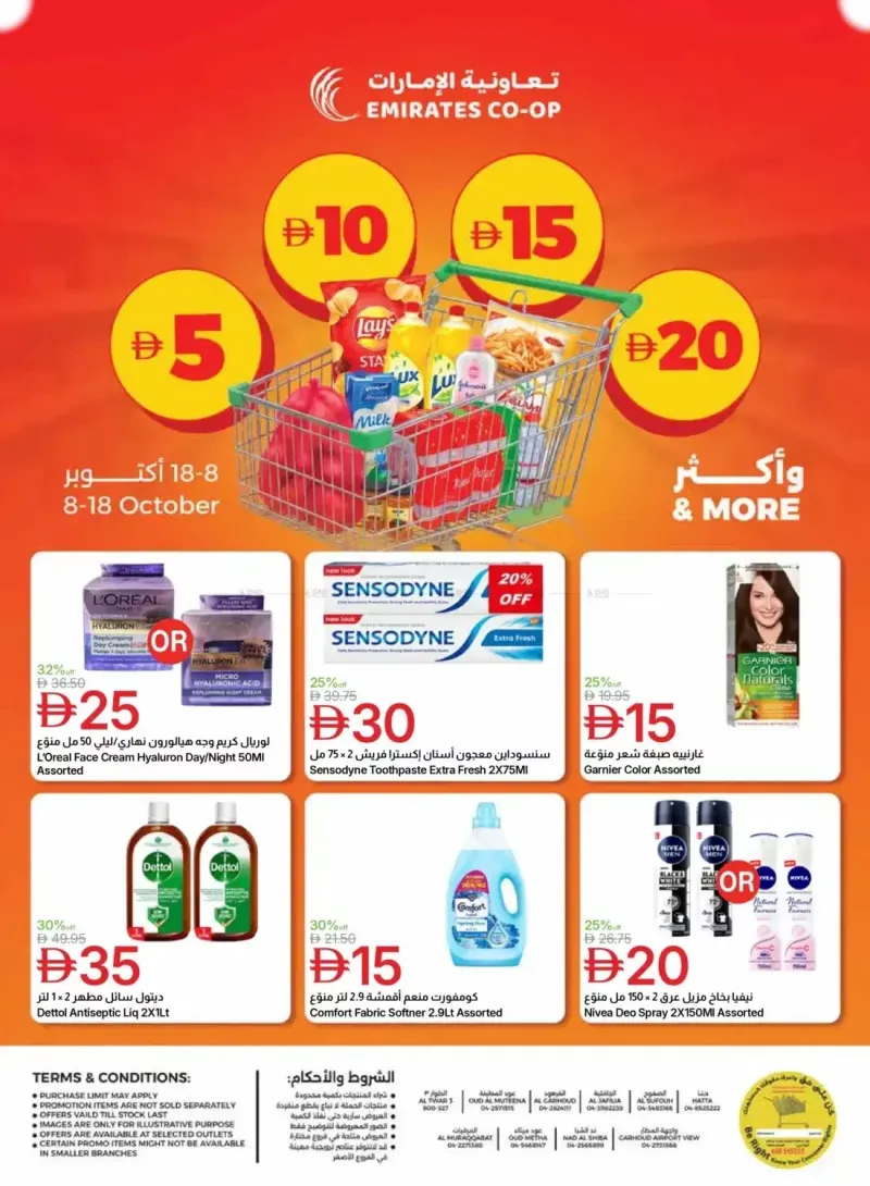 Emirates Co-Operative Society weekly ad Oct 9 – Oct 19, 2026 – page 16