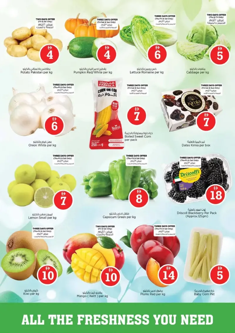 Nesto weekly ad Sep 9 – Sep 13, 2026 – page 2