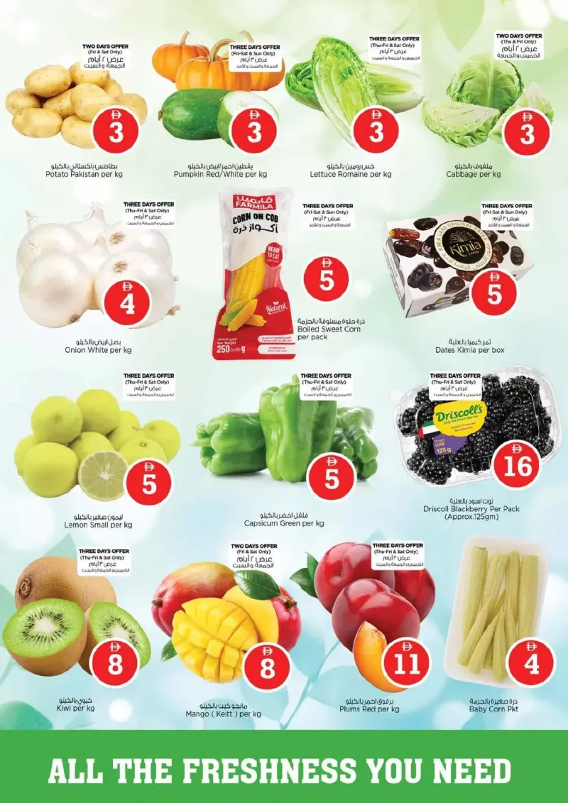 Nesto weekly ad Sep 9 – Sep 13, 2026 – page 2
