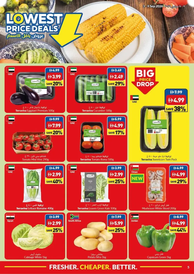 Viva weekly ad Sep 2 – Sep 9, 2026 – page 5